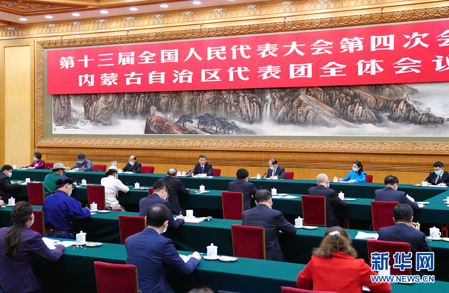 3月5日，中共中央總書記、國家主席、中央軍委主席習(xí)近平參加十三屆全國人大四次會議內(nèi)蒙古代表團的審議。新華社記者 謝環(huán)馳 攝